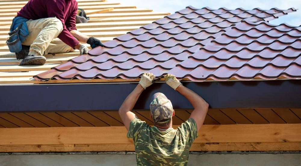 Workers install metal roofing on the wooden roof of a house